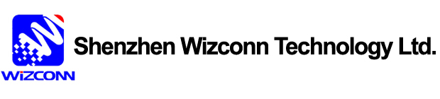 Shenzhen Wizconn Technology Ltd.